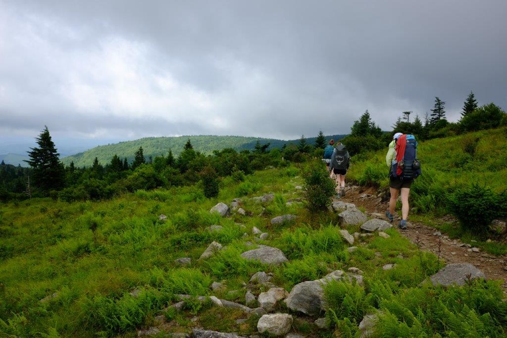 The Appalachian Trail near Grayson Highlands, VA